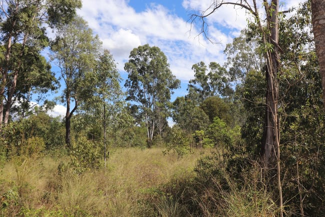 Lot A Forestry Road Gurgeena QLD 4626 Lot A Forestry Road Gurgeena QLD 4626