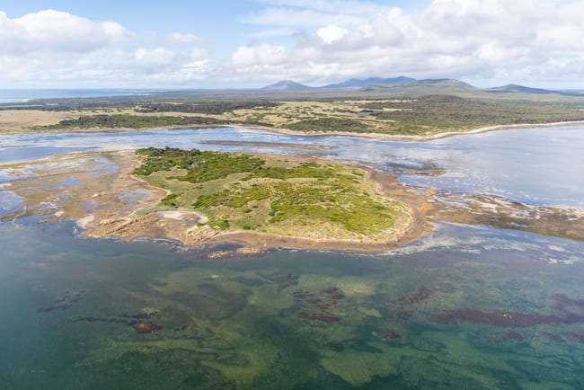 . Puncheon Island Lady Barron TAS 7255 . Puncheon Island Lady Barron TAS 7255