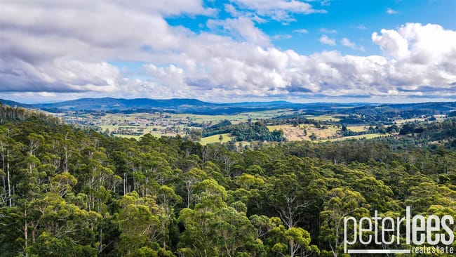 395 Mountain Road Lilydale TAS 7268 395 Mountain Road Lilydale TAS 7268