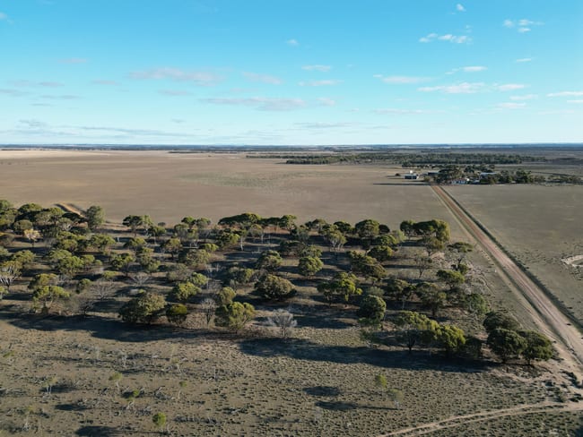 1199 Range Road Pingrup WA 6343