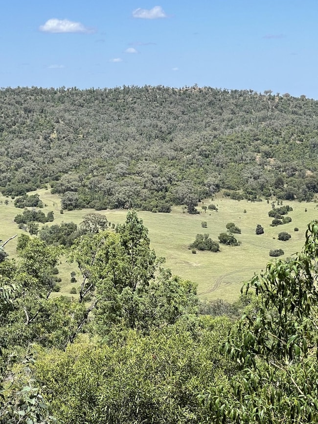 1020 Bramble Rd Warrumbungle NSW 2828