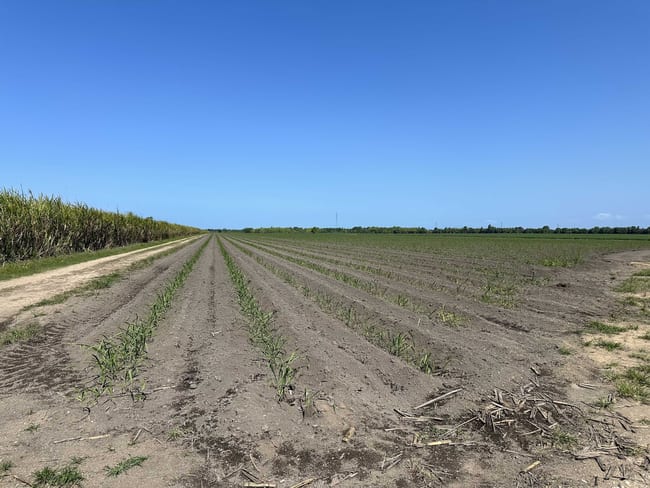 Lot 1 Davidson Road & Henry Road Euramo QLD 4854