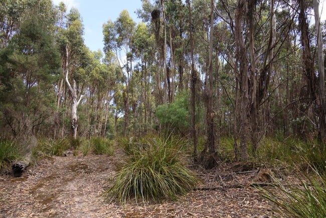 158 Blundstones Road Whitemark TAS 7255