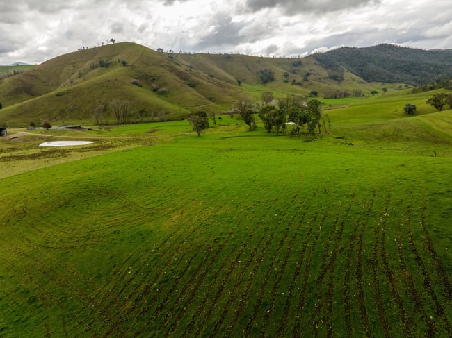 'Rockview' 400 Horse Creek Road Jingellic NSW 2642