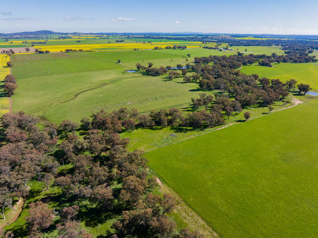 6 Dudauman Road Stockinbingal NSW 2725 6 Dudauman Road Stockinbingal NSW 2725