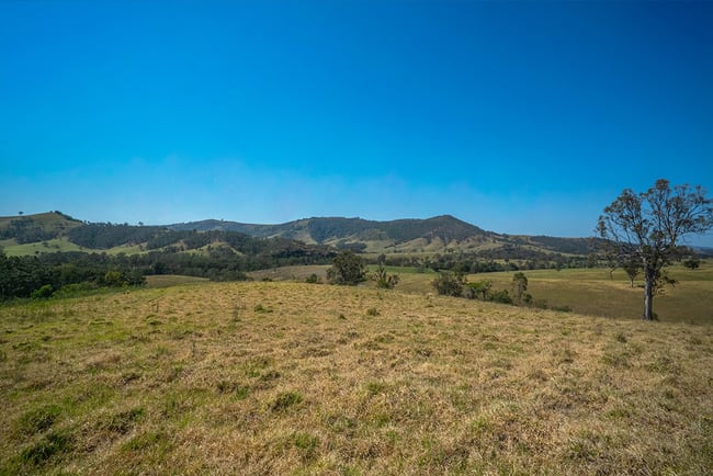 Lot A, 25 & 109 Allyn River Road Halton NSW 2311 Lot A, 25 & 109 Allyn River Road Halton NSW 2311