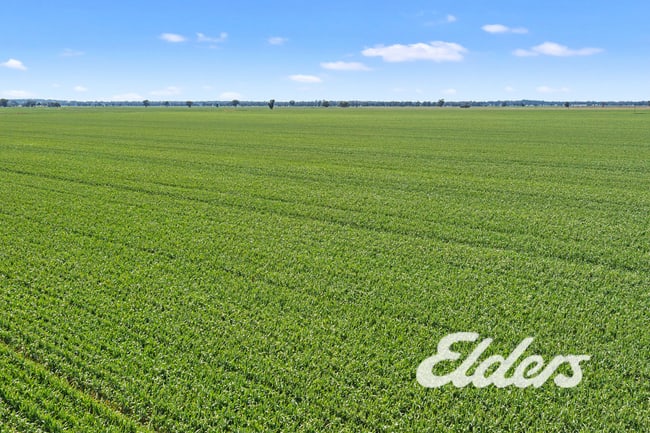 235 Clearview Road Savernake NSW 2646 235 Clearview Road Savernake NSW 2646