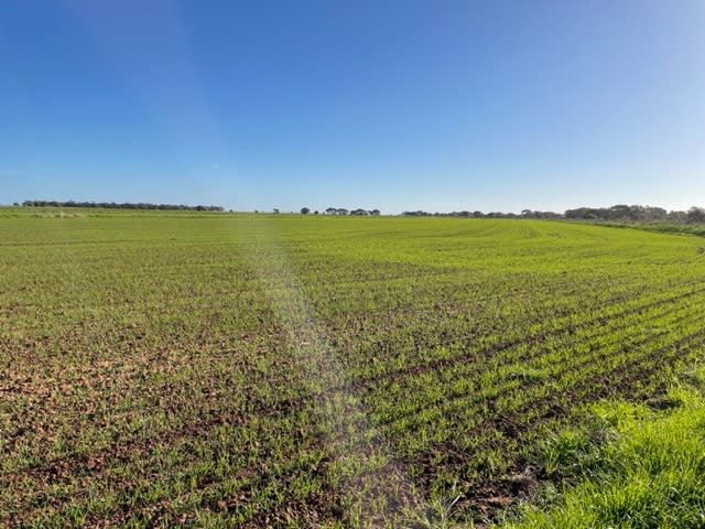 FARM 5007 “DANCORD” Coleambally NSW 2707