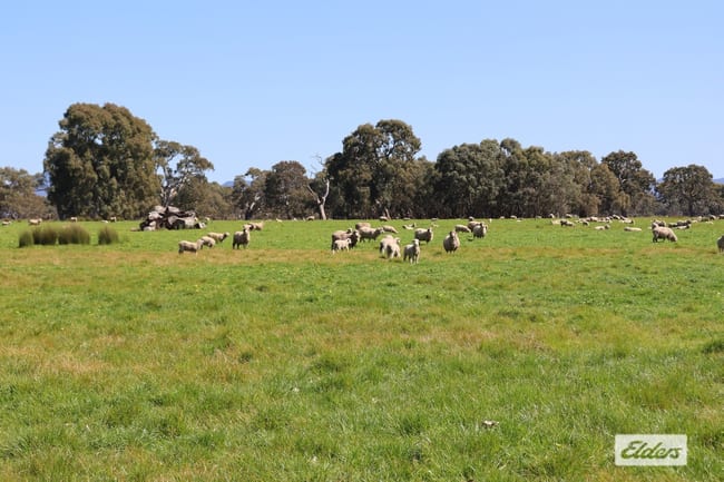 CA 91a 91b Mitchell Street Glenthompson VIC 3293 CA 91a 91b Mitchell Street Glenthompson VIC 3293