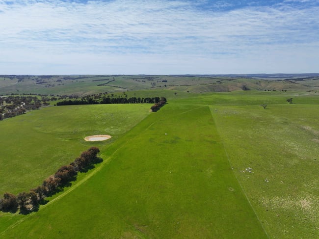 1002 Golspie Road Golspie NSW 2580