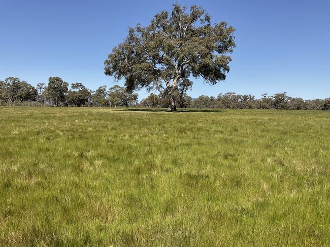 399 Henty Highway Brimpaen VIC 3401