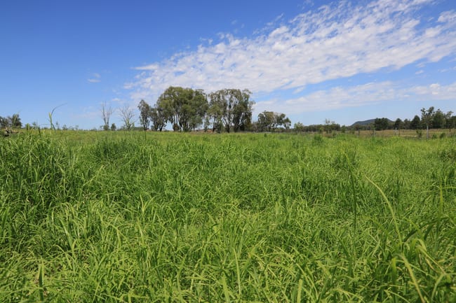 2222 Spooners Gap Road Bellata NSW 2397 2222 Spooners Gap Road Bellata NSW 2397