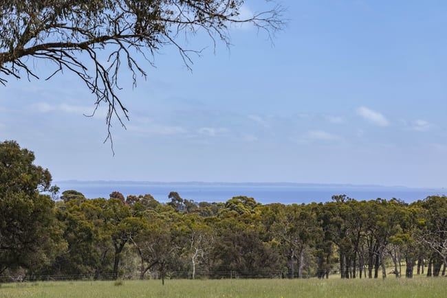 56 Bulldog Creek Road Dromana VIC 3936 56 Bulldog Creek Road Dromana VIC 3936