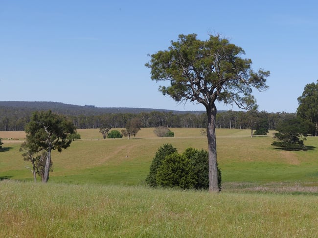 2441 Muir Highway (Perup) Manjimup WA 6258 2441 Muir Highway (Perup) Manjimup WA 6258