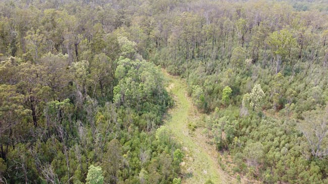 21/513 Upper Fine Flower Road Upper Fine Flower NSW 2460