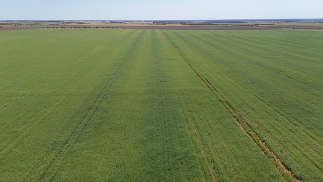 2064 Binnu Road East Ogilvie WA 6535