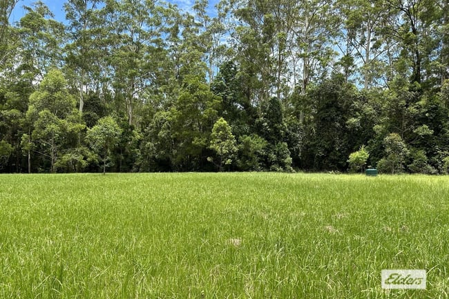 590 Stony Creek Road Stony Creek QLD 4514