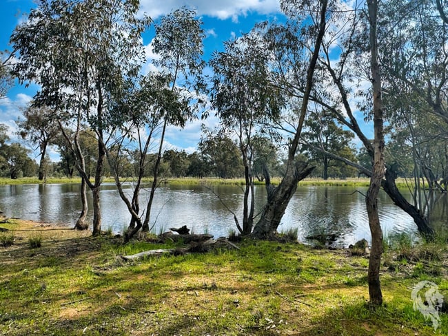 483 Gwabegar Road Cuttabri NSW 2388 483 Gwabegar Road Cuttabri NSW 2388