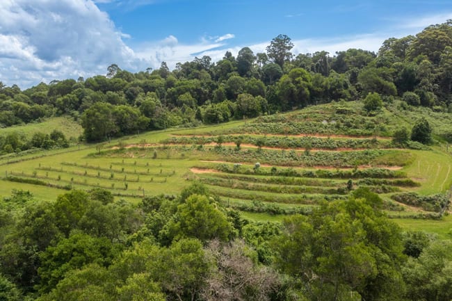 104 Tilbaroo Rd Elands NSW 2429 104 Tilbaroo Rd Elands NSW 2429