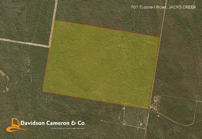707 Tuppiari Road Jacks Creek NSW 2390 707 Tuppiari Road Jacks Creek NSW 2390