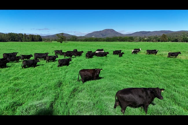 1456 Rollands Plains Road Ballengarra NSW 2441