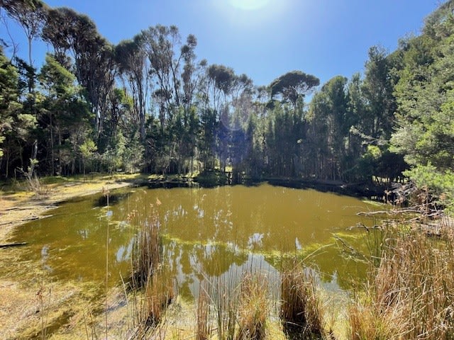 00 Fraser Rd Pegarah TAS 7256
