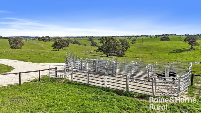 166 Stirling Hill Road Gemmells SA 5255