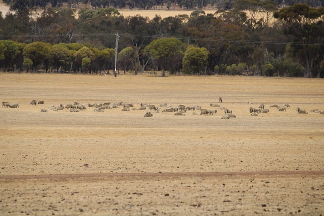 191 Great Southern Highway Woodanilling WA 6316 191 Great Southern Highway Woodanilling WA 6316