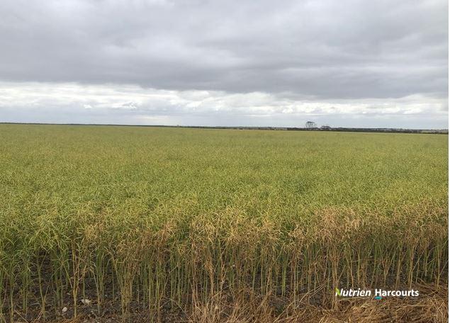 , Johnstone's Block Mindarabin WA 6336 , Johnstone's Block Mindarabin WA 6336