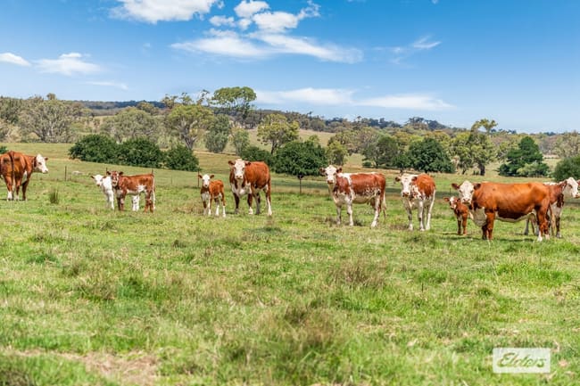 55 Rosehill Road Metcalfe VIC 3448 55 Rosehill Road Metcalfe VIC 3448