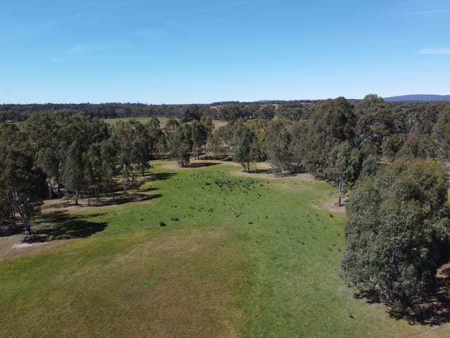 Rocky Ridge Road Carapooee VIC 3477 Rocky Ridge Road Carapooee VIC 3477