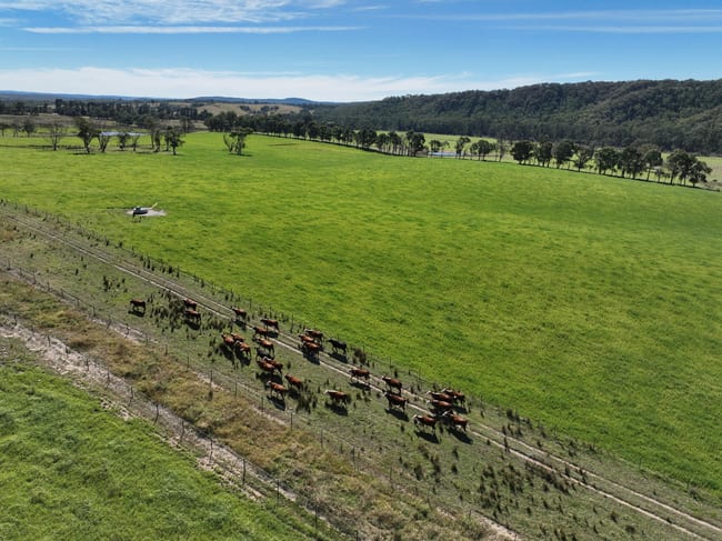 710 Inverary Road Paddys River NSW 2577 710 Inverary Road Paddys River NSW 2577