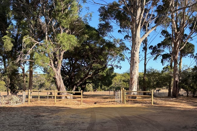 9569 (PL 582) Caves Road Hamelin Bay WA 6288