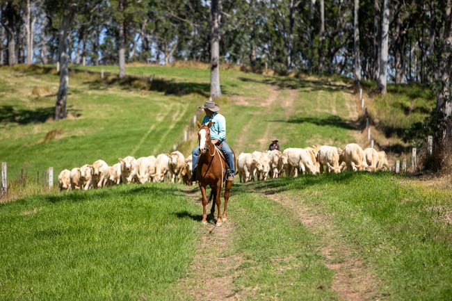 624 Deer Vale Road Fernbrook NSW 2453 624 Deer Vale Road Fernbrook NSW 2453