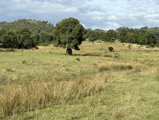 Lot 46 Bunya Mountains Maclagan Road Rangemore QLD 4352 Lot 46 Bunya Mountains Maclagan Road Rangemore QLD 4352