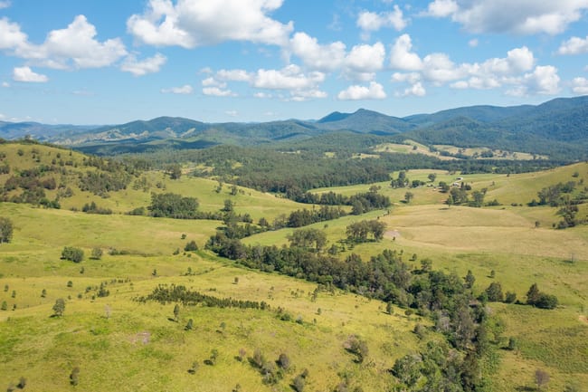 1331 Forbes River Road Forbes River NSW 2446 1331 Forbes River Road Forbes River NSW 2446