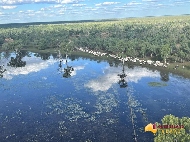 Normanton QLD 4890
