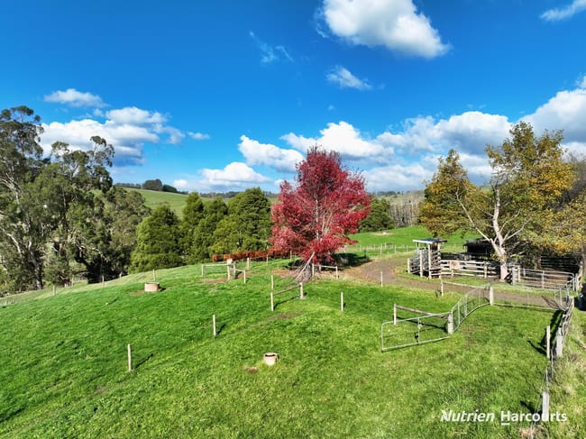 175 Fishers Road Boolarra South VIC 3870