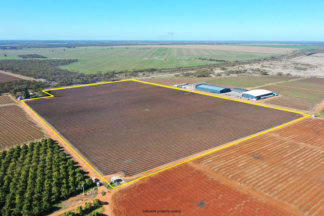 Lot 2 PS507823 Anzac Road Robinvale VIC 3549 Lot 2 PS507823 Anzac Road Robinvale VIC 3549