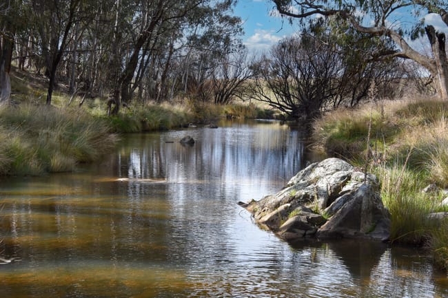 2625 Trunkey Road Caloola NSW 2795