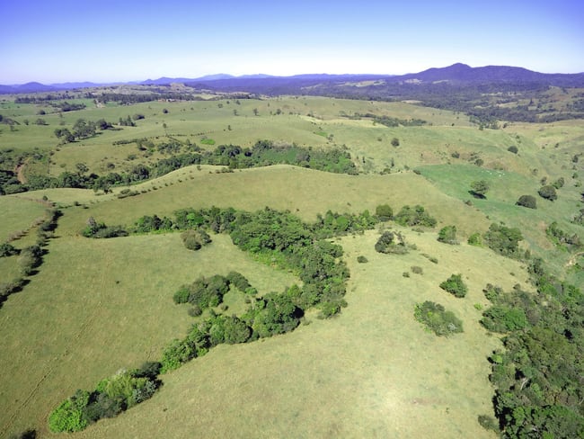 Millaa Millaa QLD 4886 Millaa Millaa QLD 4886