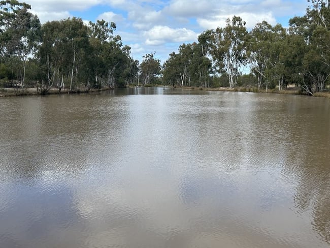 1369 Yagaburne-Boondandilla Road Moonie QLD 4406 1369 Yagaburne-Boondandilla Road Moonie QLD 4406