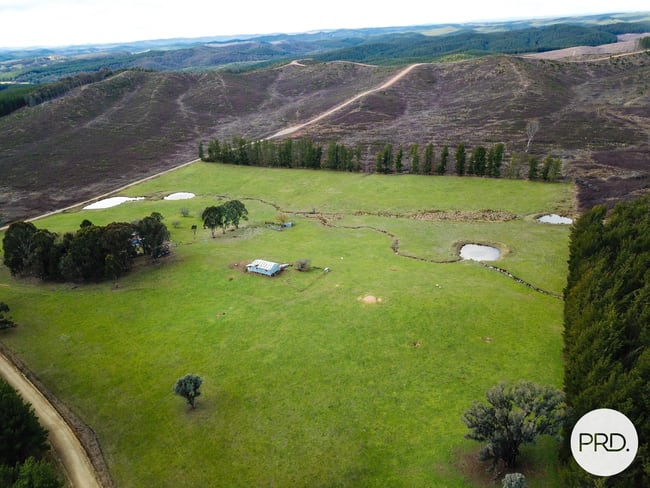 233 Logans Road Tumbarumba NSW 2653