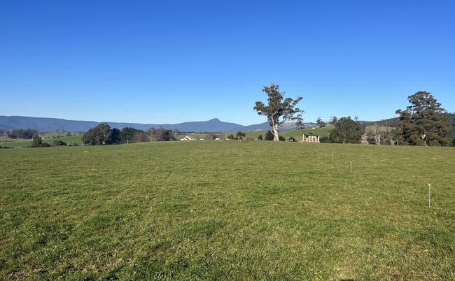 140 Peddles Road Legerwood TAS 7263 140 Peddles Road Legerwood TAS 7263