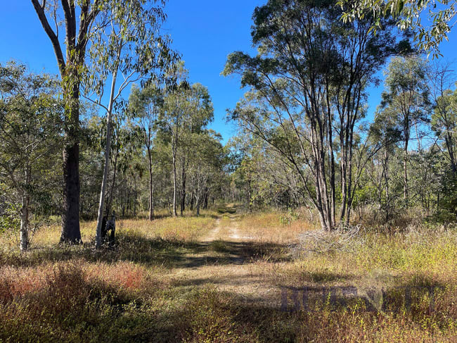 323 Eureka Road Golden Fleece QLD 4621 323 Eureka Road Golden Fleece QLD 4621