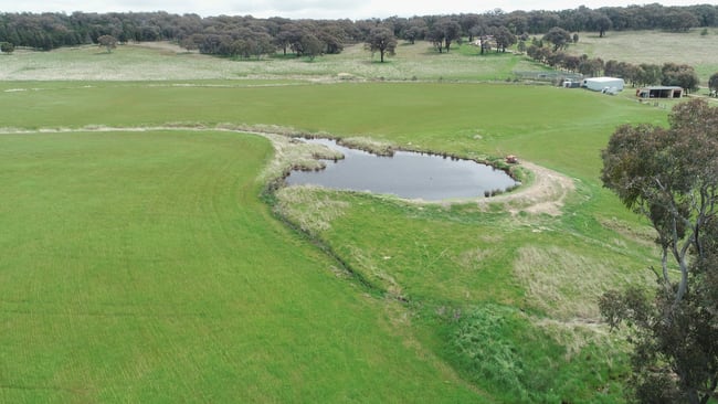 823 Peabody Road Molong NSW 2866
