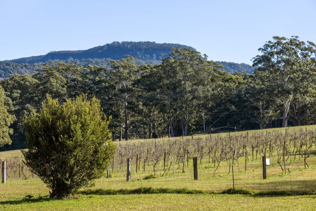 141 Woodhill Mountain Road Broughton Vale NSW 2535 141 Woodhill Mountain Road Broughton Vale NSW 2535