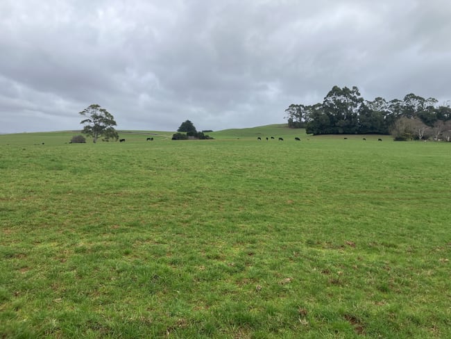 16797 Bass Highway Flowerdale TAS 7325