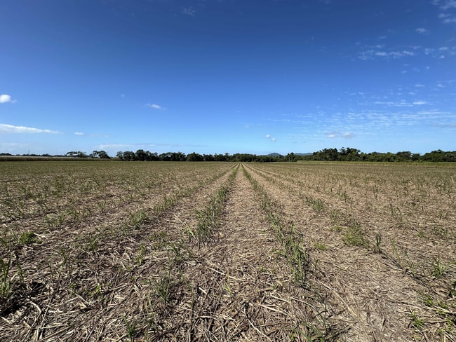 El Arish QLD 4855 El Arish QLD 4855