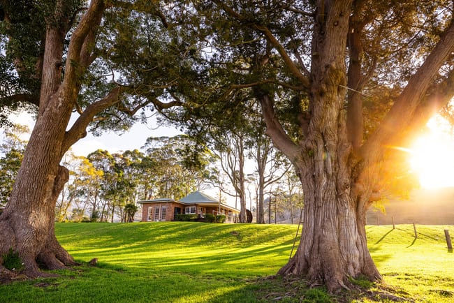 104 Wyalla Road Jamberoo NSW 2533